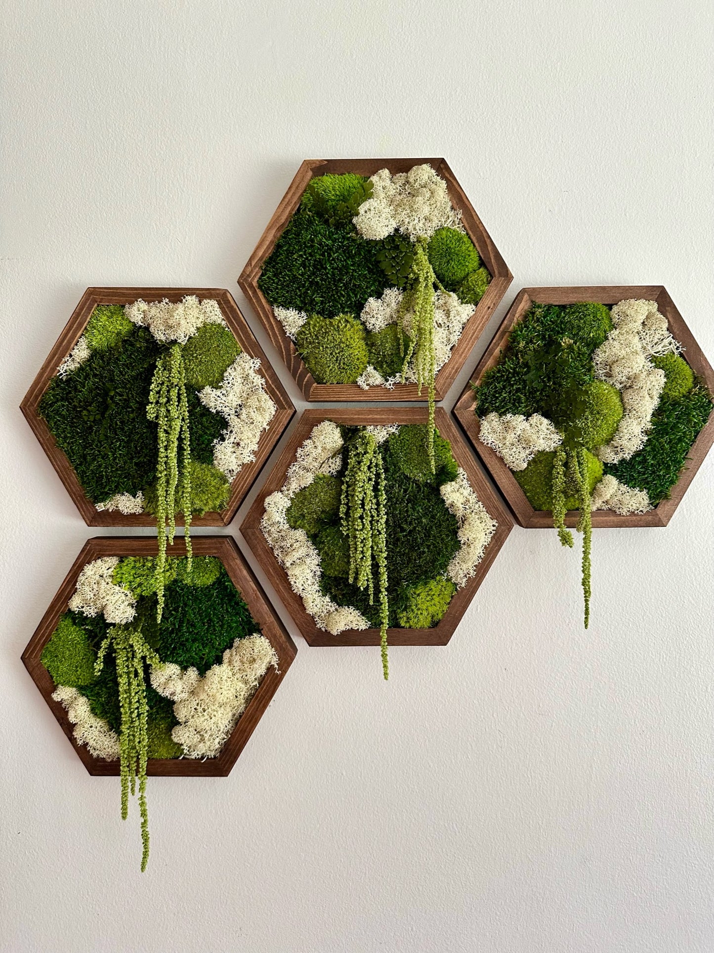 Hexagon Frame - 10” x 11.6” - Sheet, Pole and Reindeer Moss with Light Green Amaranthus