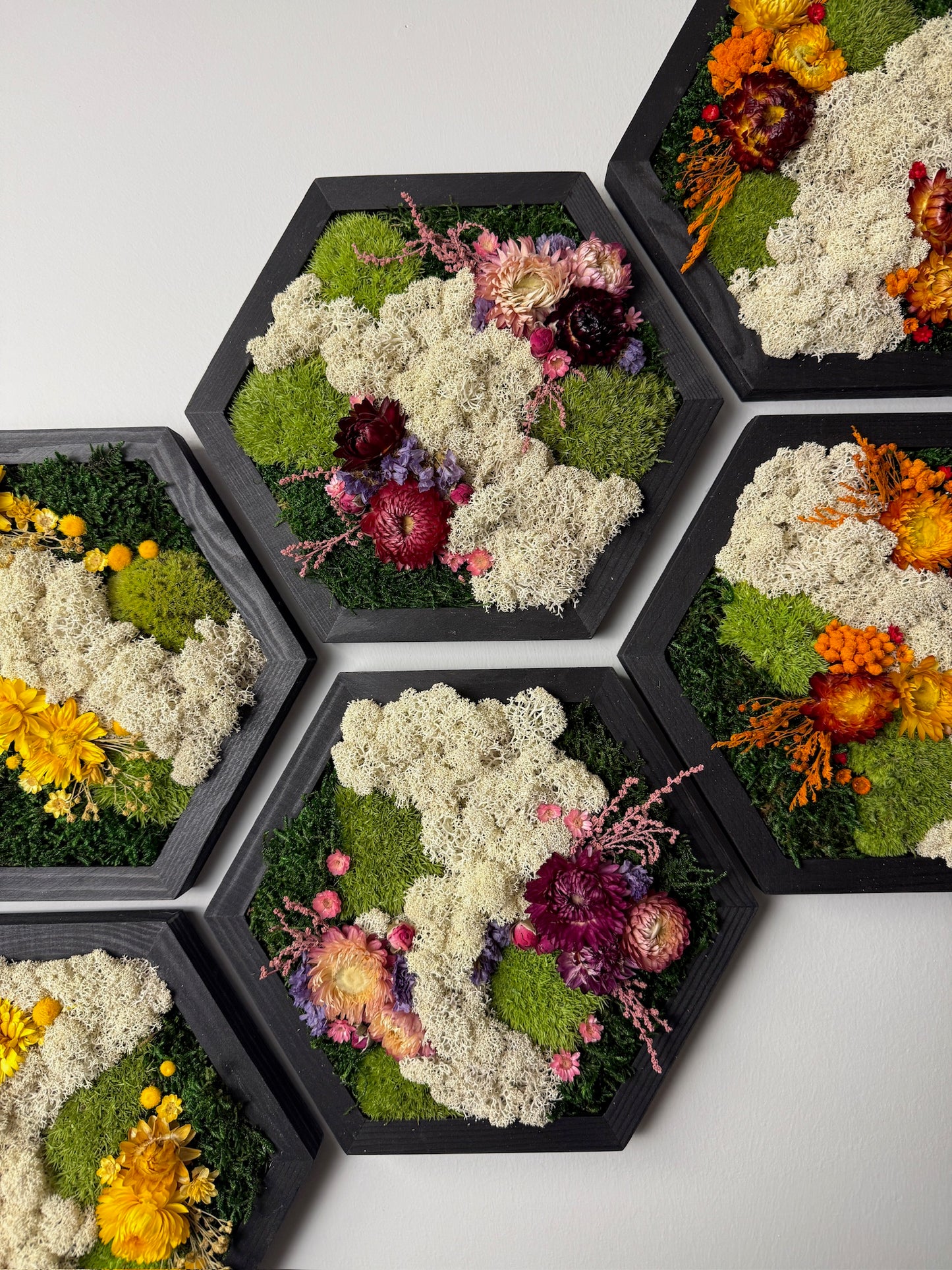 Honeycomb Moss Wall Art: Wood Hexagon Frame, Reindeer Moss & Flowers | USA - TARIFF FREE