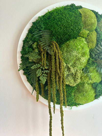 Moss Wall Art Circle 20 Inch | Preserved Moss Art Framed | Moss Wall Decor