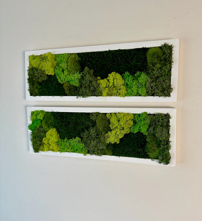 Long Rectangle Preserved Moss Decor - 18" by 5" - Pole & Reindeer Moss