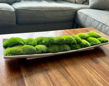 Moss Centerpiece | Mood Moss | Preserved Moss Gift | Ceramic Centerpiece Bowl | One of a Kind | Green Mood Moss | Wedding Centrepiece (Copy)