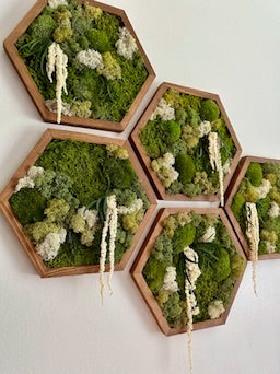 Moss Wall Art Decor | Single Set to Six (10" x 11.6" or 8" x 9.6") | Preserved Lichen, Pole and Sheet Moss & Fern