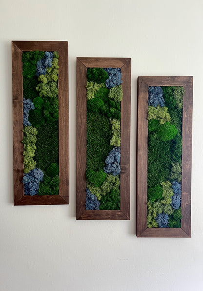 Moss Wall Art | Preserved Moss Art Framed | Moss Wall Decor | Moss Wall Sets | Large Rectangle Single to Six Set | Reindeer Moss Pole Moss