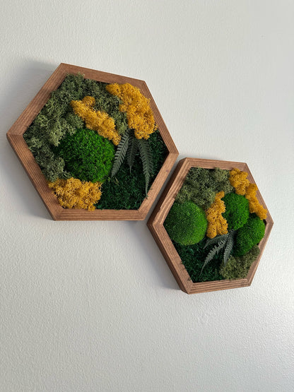 Moss Wall Art Decor | Single Set to Six (10" x 11.6" or 8" x 9.6") | Preserved Lichen, Pole and Sheet Moss & Fern | Yellow