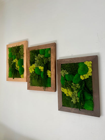 Moss Art - 12 x 16 Inches - Shades of Green Reindeer, Pole & Mood Moss