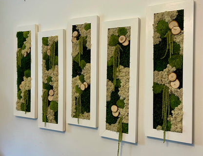 Moss Wall Art | Preserved Moss Art Framed | Moss Wall Decor | Moss Wall Sets | Large Rectangle Single to Six Set | Reindeer Moss Pole Moss