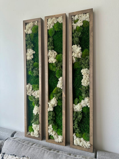Long Rectangle Preserved Moss Decor -6” x 36” - Pole & Reindeer Moss