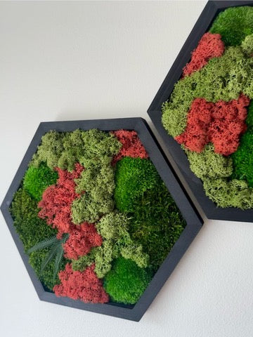 Moss Wall Art Decor | Single Set to Six (10" x 11.6" or 8" x 9.6") | Preserved Lichen, Pole and Sheet Moss & Fern | Red