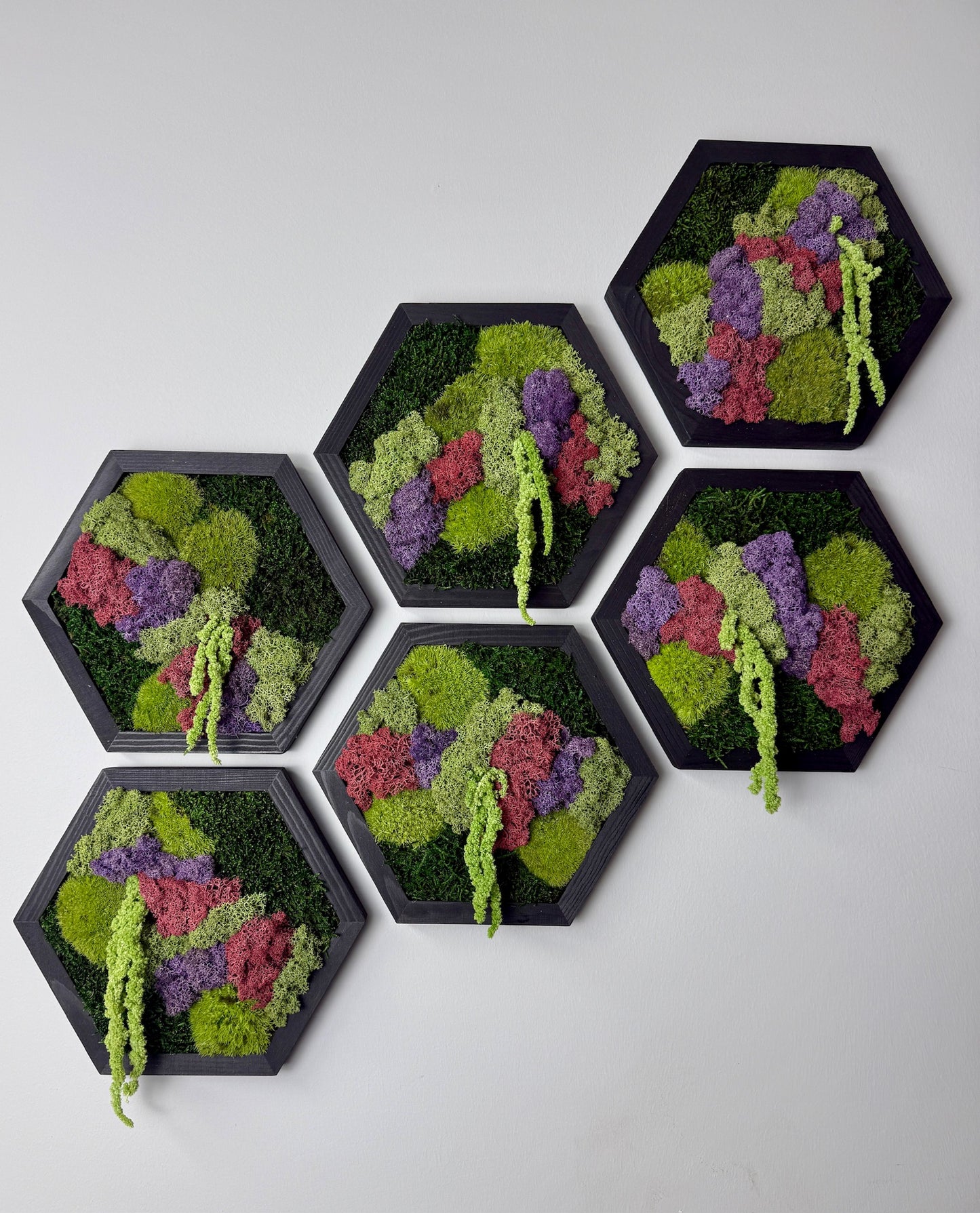 Reindeer Moss Wall Art: Hexagon Wood Frame, Preserved Nature Decor | USA - TARIFF FREE (Copy)