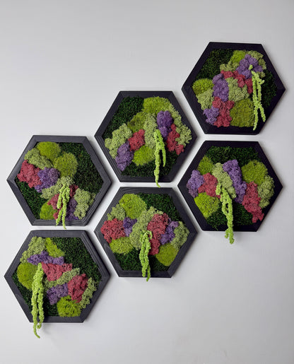 Reindeer Moss Wall Art: Hexagon Wood Frame, Preserved Nature Decor | USA - TARIFF FREE (Copy)