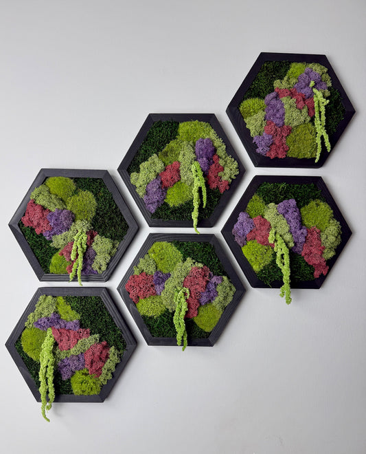 Reindeer Moss Wall Art: Hexagon Wood Frame, Preserved Nature Decor | USA - TARIFF FREE (Copy)