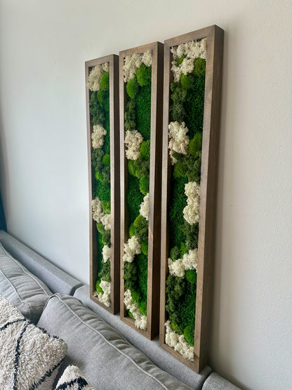 Long Rectangle Preserved Moss Decor -6” x 36” - Pole & Reindeer Moss