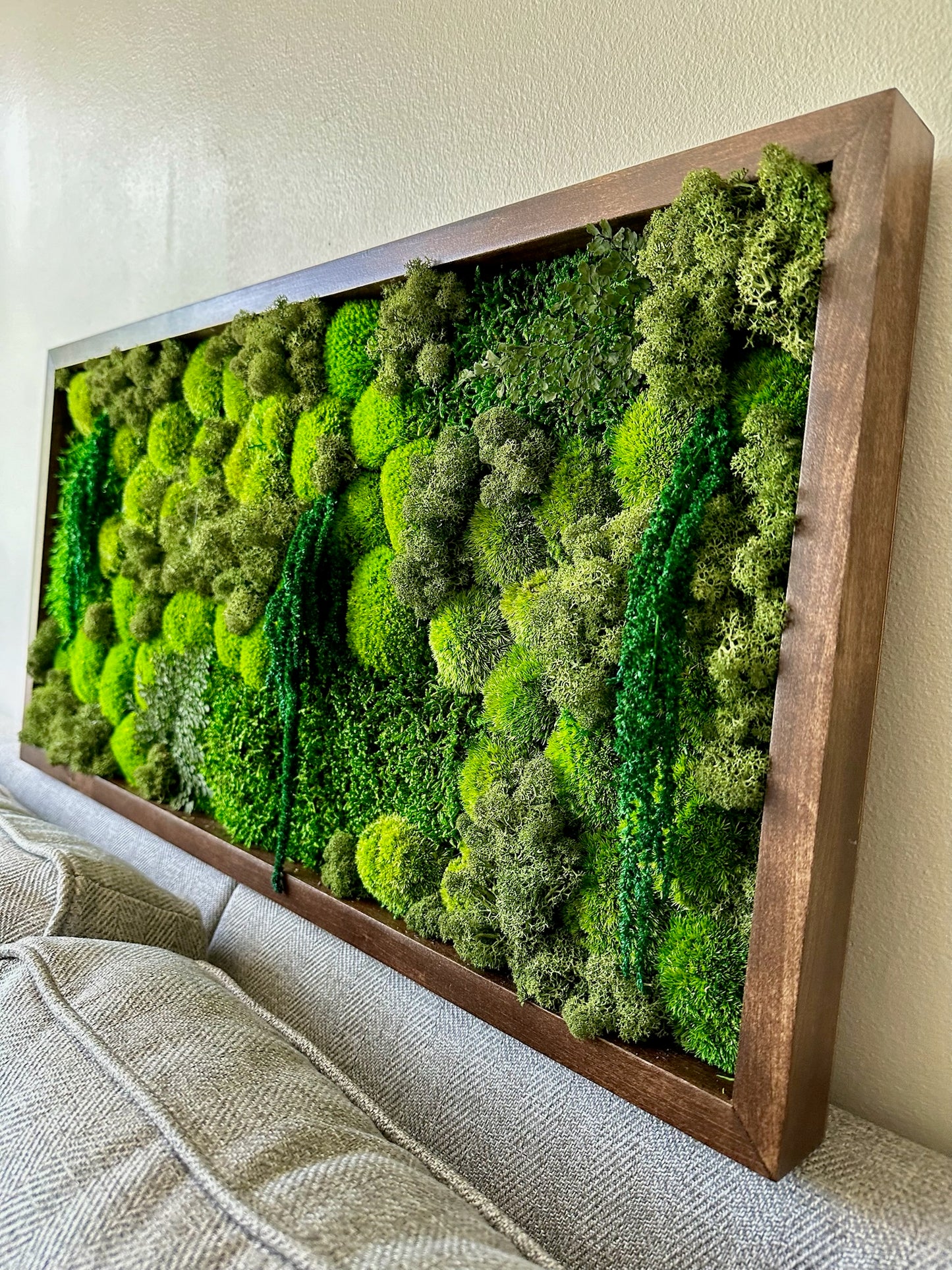 Long Rectangle Preserved Moss Decor - 15" by 30" - Pole & Reindeer Moss