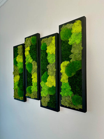 Long Rectangle Preserved Moss Decor - 18" by 5" - Pole & Reindeer Moss