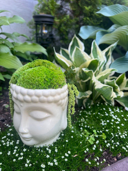 Moss Centerpiece Buddha Bowl | Pole Moss | Preserved Fern | Ceramic Centrepiece Bowl | Gift | Wedding Centrepiece