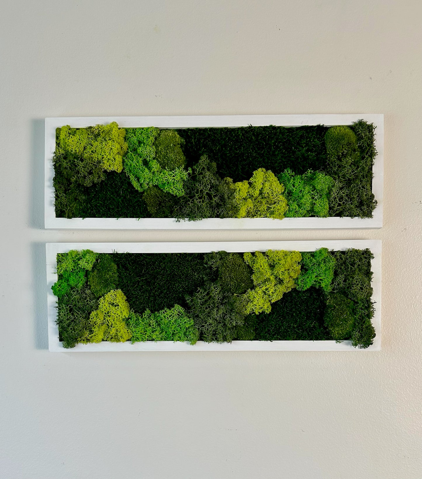 Long Rectangle Preserved Moss Decor - 18" by 5" - Pole & Reindeer Moss