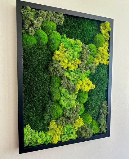 Moss Wall Art | Preserved Moss Framed 18 by 24 Inches | Moss Wall Decor | Pole Moss Sheet Moss and Fern with Reindeer Moss