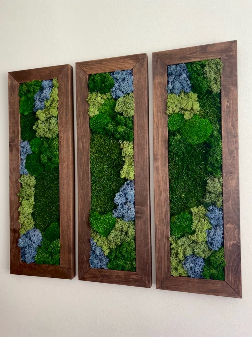 Moss Wall Art | Preserved Moss Art Framed | Moss Wall Decor | Moss Wall Sets | Large Rectangle Single to Six Set | Reindeer Moss Pole Moss