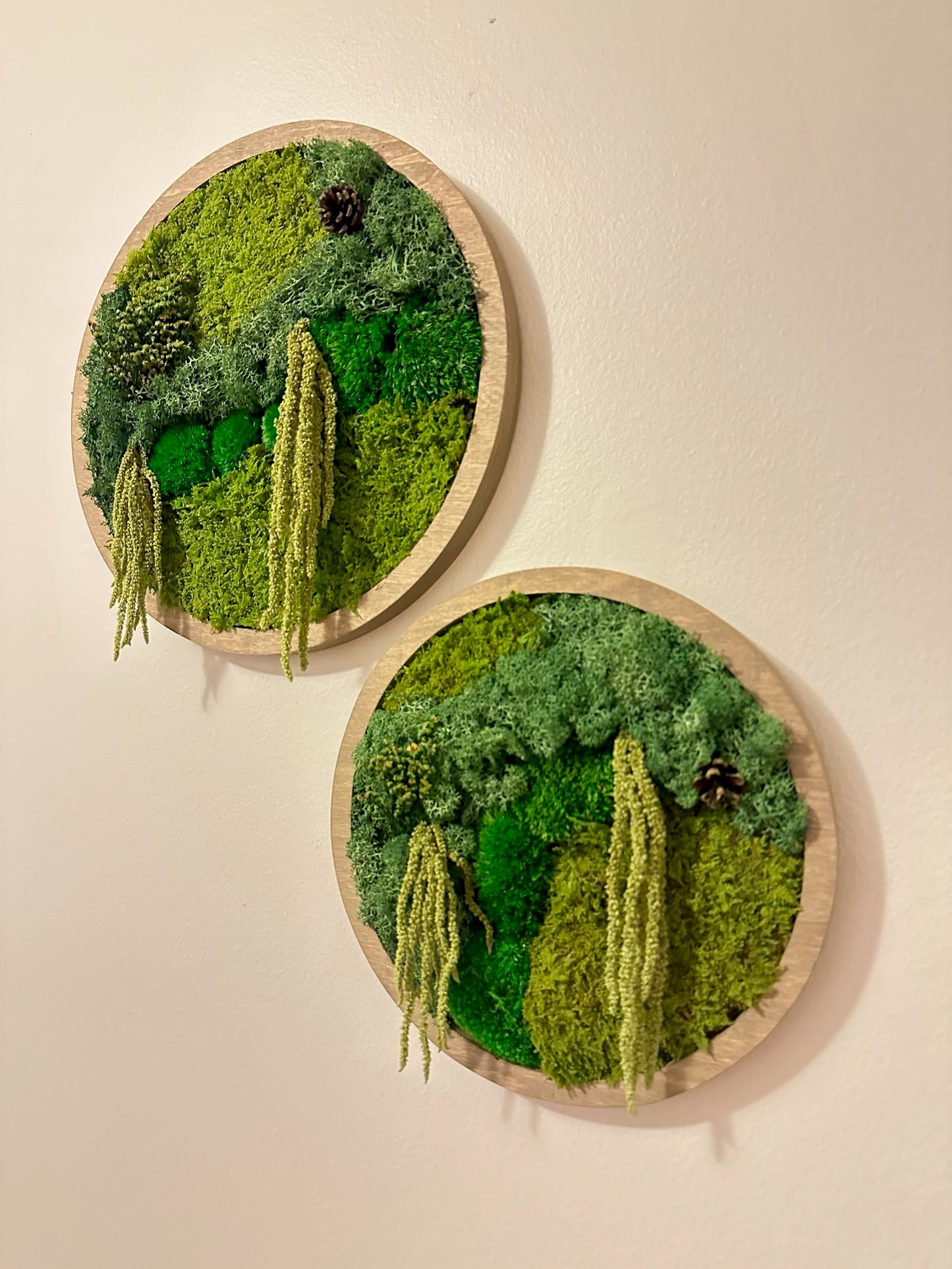 Moss Wall Art Circle | Preserved Moss Art Framed | Moss Wall Decor | Single or Set of 2 | Reindeer & Sheet Moss | Unique Gift | Wedding