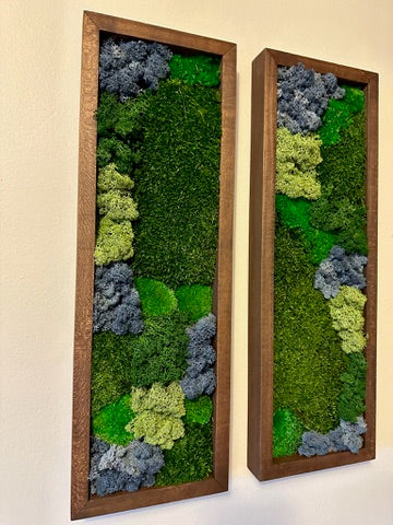 Moss Wall Art | Preserved Moss Art Framed | Moss Wall Decor | Moss Wall Sets | Large Rectangle Single to Six Set | Reindeer Moss Pole Moss