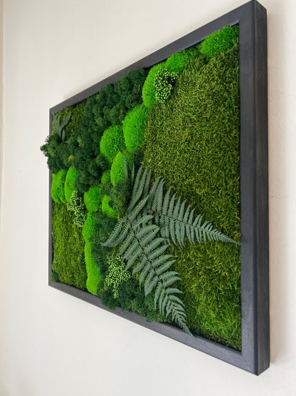 Moss Wall Art | Preserved Moss Framed 16 by 20 Inches | Moss Wall Decor | Pole Moss Sheet Moss and Fern with Reindeer Moss