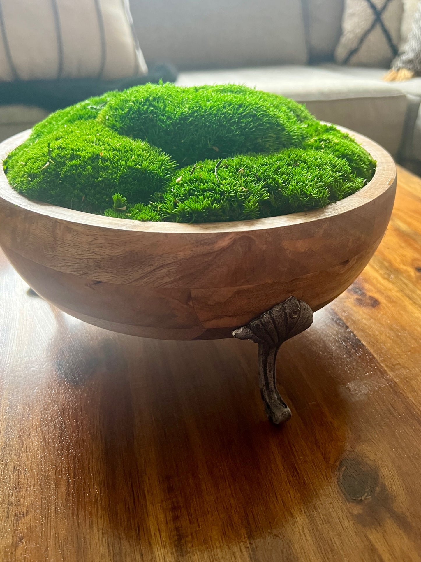 Moss Centerpiece | Pole Moss | Moss Planter | Preserved Moss Gift  | Olive Wood Nature Bowl | One of a Kind | Green Pole Moss | Gift