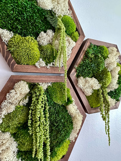 Hexagon Frame - 10” x 11.6” - Sheet, Pole and Reindeer Moss with Light Green Amaranthus