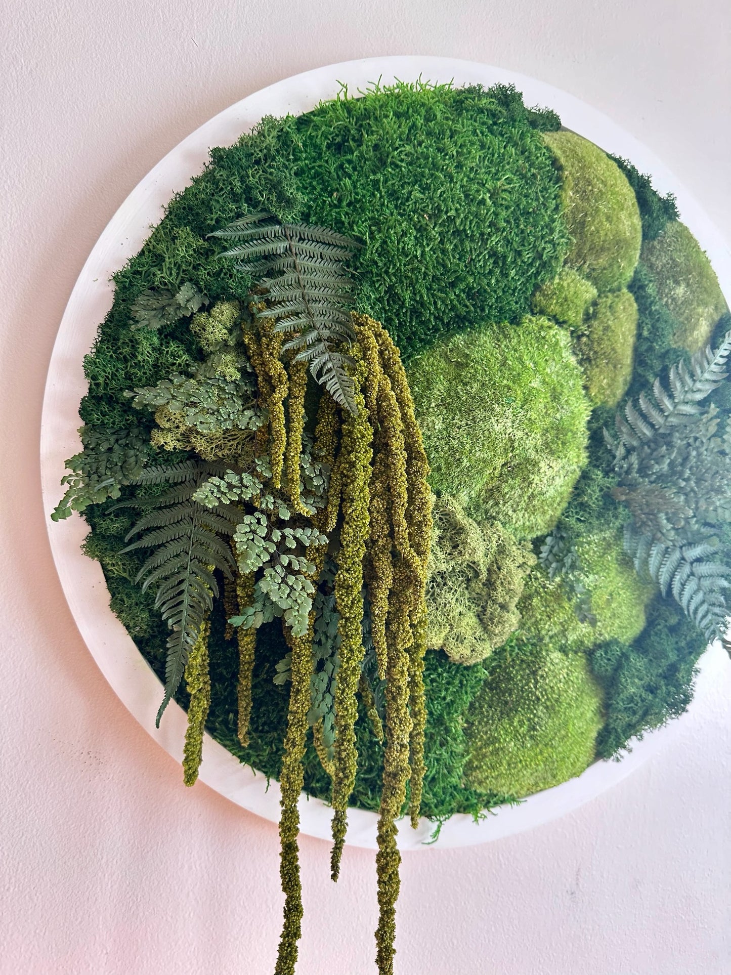 Moss Wall Art Circle 20 Inch | Preserved Moss Art Framed | Moss Wall Decor