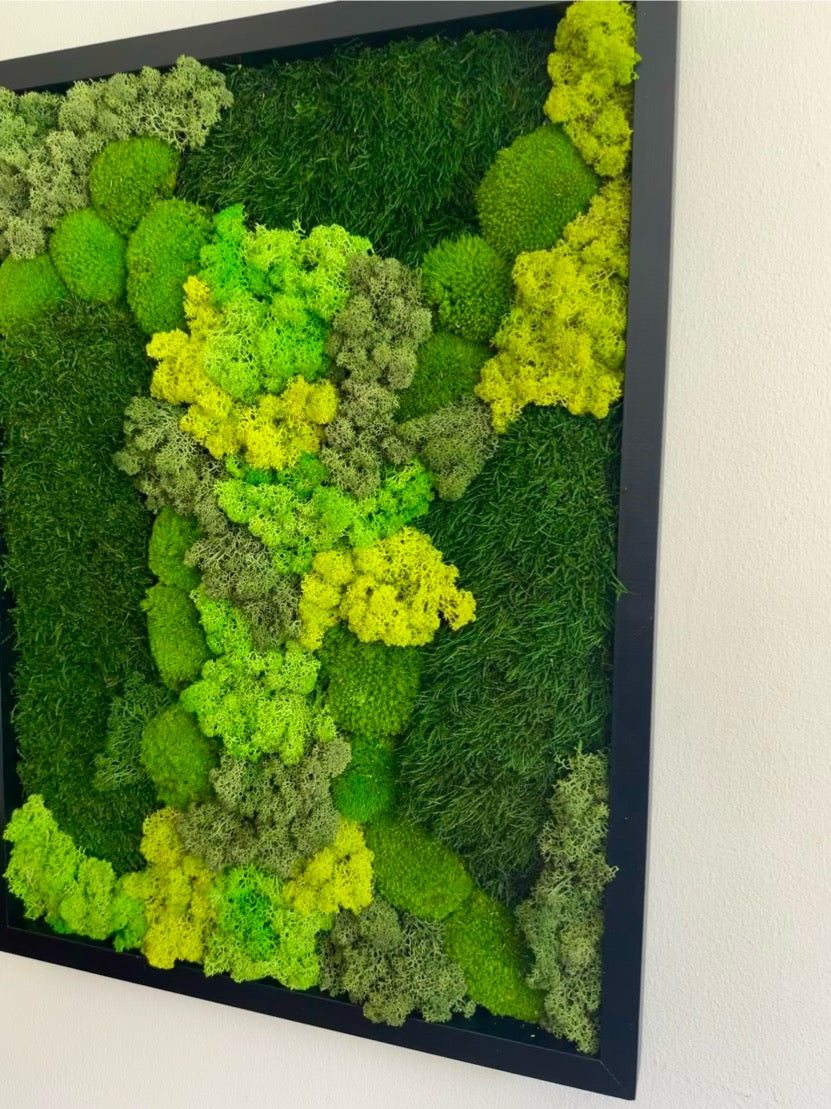 Moss Wall Art | Preserved Moss Framed 18 by 24 Inches | Moss Wall Decor | Pole Moss Sheet Moss and Fern with Reindeer Moss