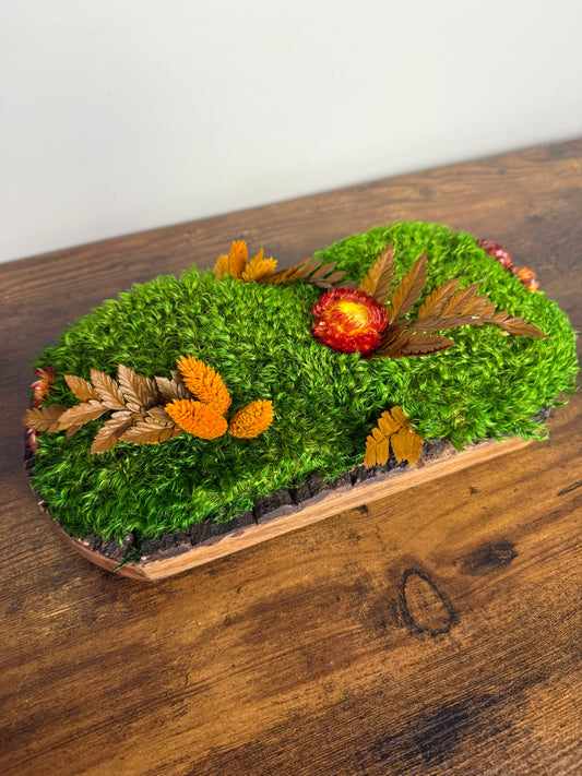 Preserved Pole Moss Centerpiece: Wood Nature Bowl, Wedding Decor with Orange Flowers | USA - TARIFF FREE