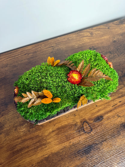 Preserved Pole Moss Centerpiece: Wood Nature Bowl, Wedding Decor with Orange Flowers | USA - TARIFF FREE