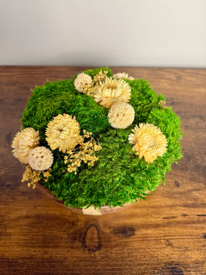 Preserved Moss Centerpiece: Wood Bowl with Reindeer Moss with White Flowers | USA - TARIFF FREE