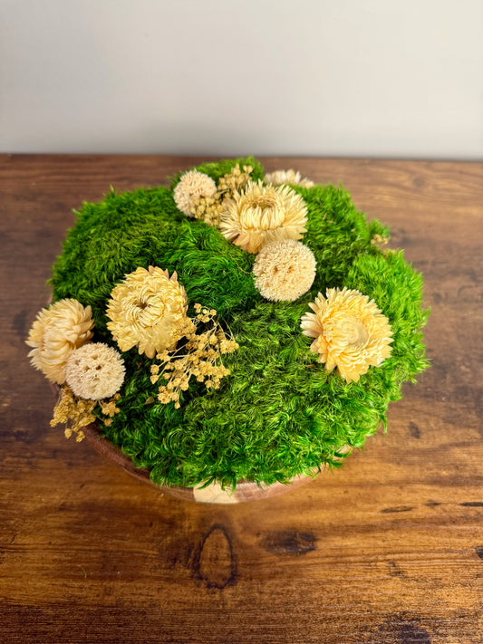 Preserved Moss Centerpiece: Wood Bowl with Reindeer Moss with White Flowers | USA - TARIFF FREE