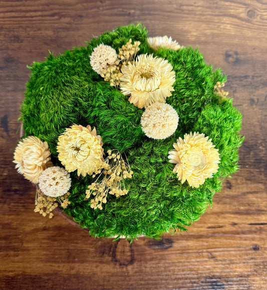 Preserved Moss Centerpiece: Wood Bowl with Reindeer Moss with White Flowers | USA - TARIFF FREE