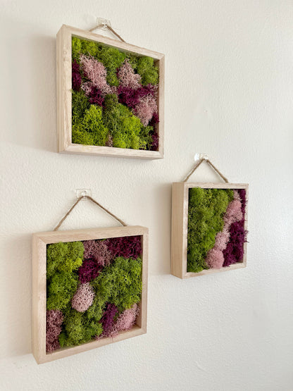Preserved Moss Wall Art: Green & Pink Square Trio | USA - TARIFF FREE