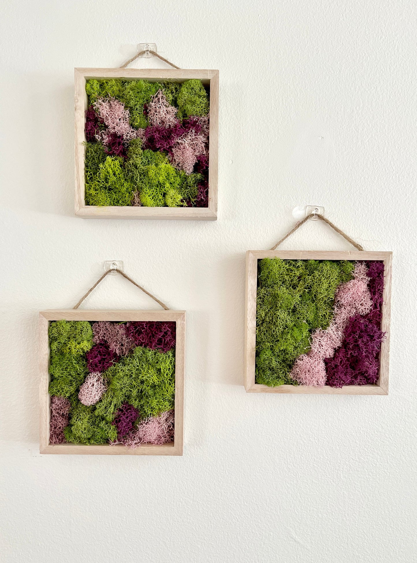 Moss Wall Art | Preserved Moss Art Framed | Square  | Green and Pink