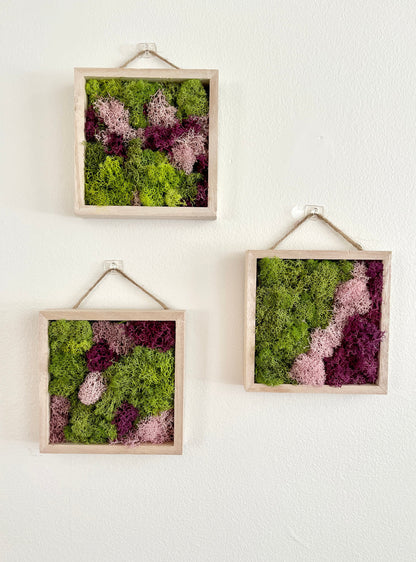 Moss Wall Art | Preserved Moss Art Framed | Square  | Green and Pink