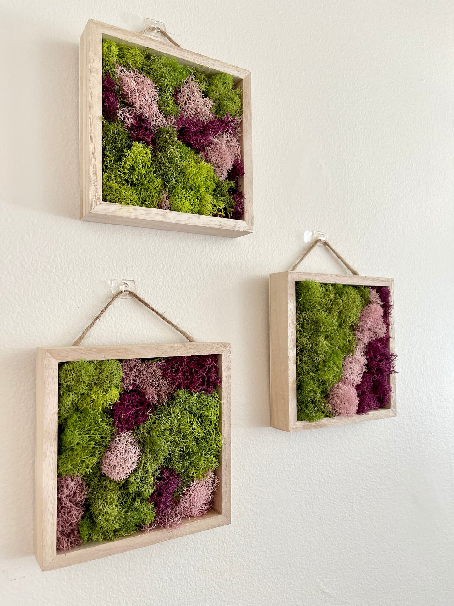 Moss Wall Art | Preserved Moss Art Framed | Square  | Green and Pink