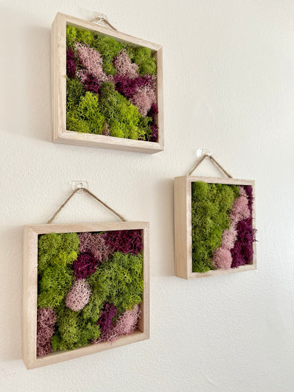 Moss Wall Art | Preserved Moss Art Framed | Square  | Green and Pink
