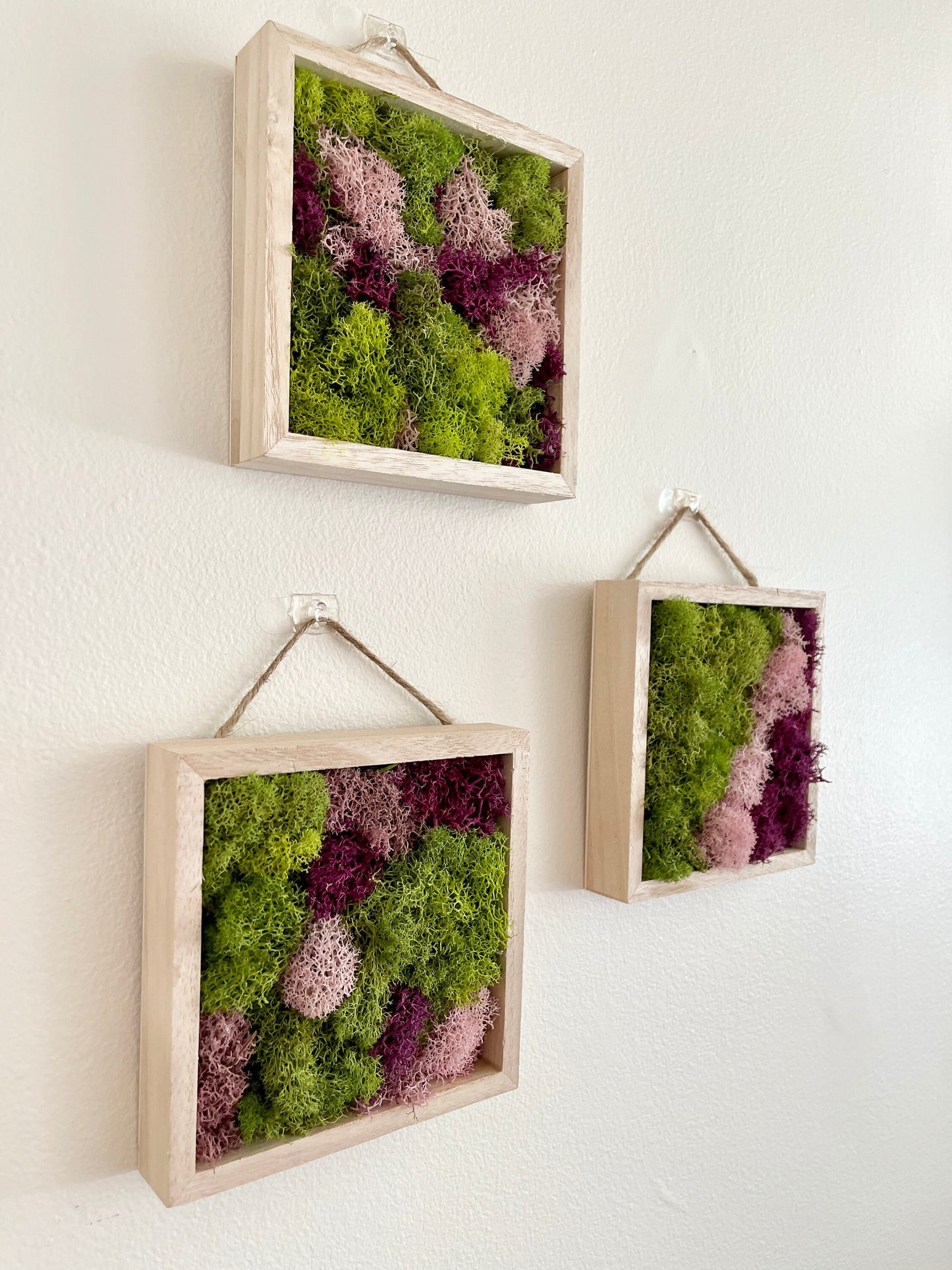 Moss Wall Art | Preserved Moss Art Framed | Square  | Green and Pink