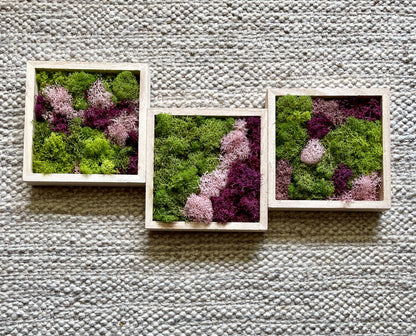 Preserved Moss Wall Art: Green & Pink Square Trio | USA - TARIFF FREE