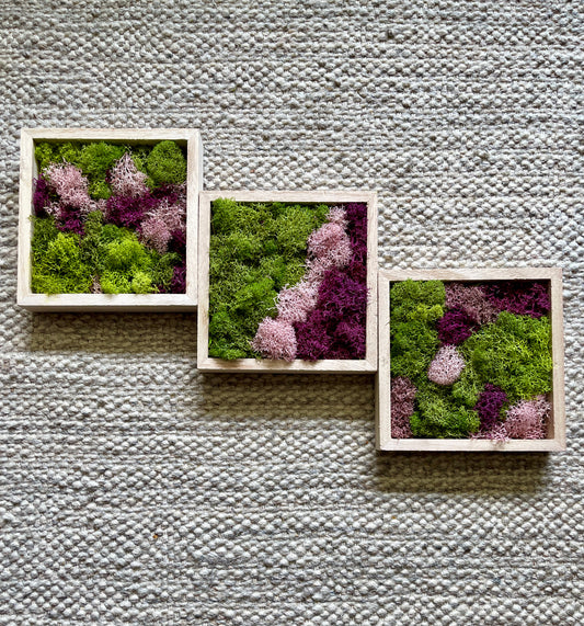 Moss Wall Art | Preserved Moss Art Framed | Square  | Green and Pink