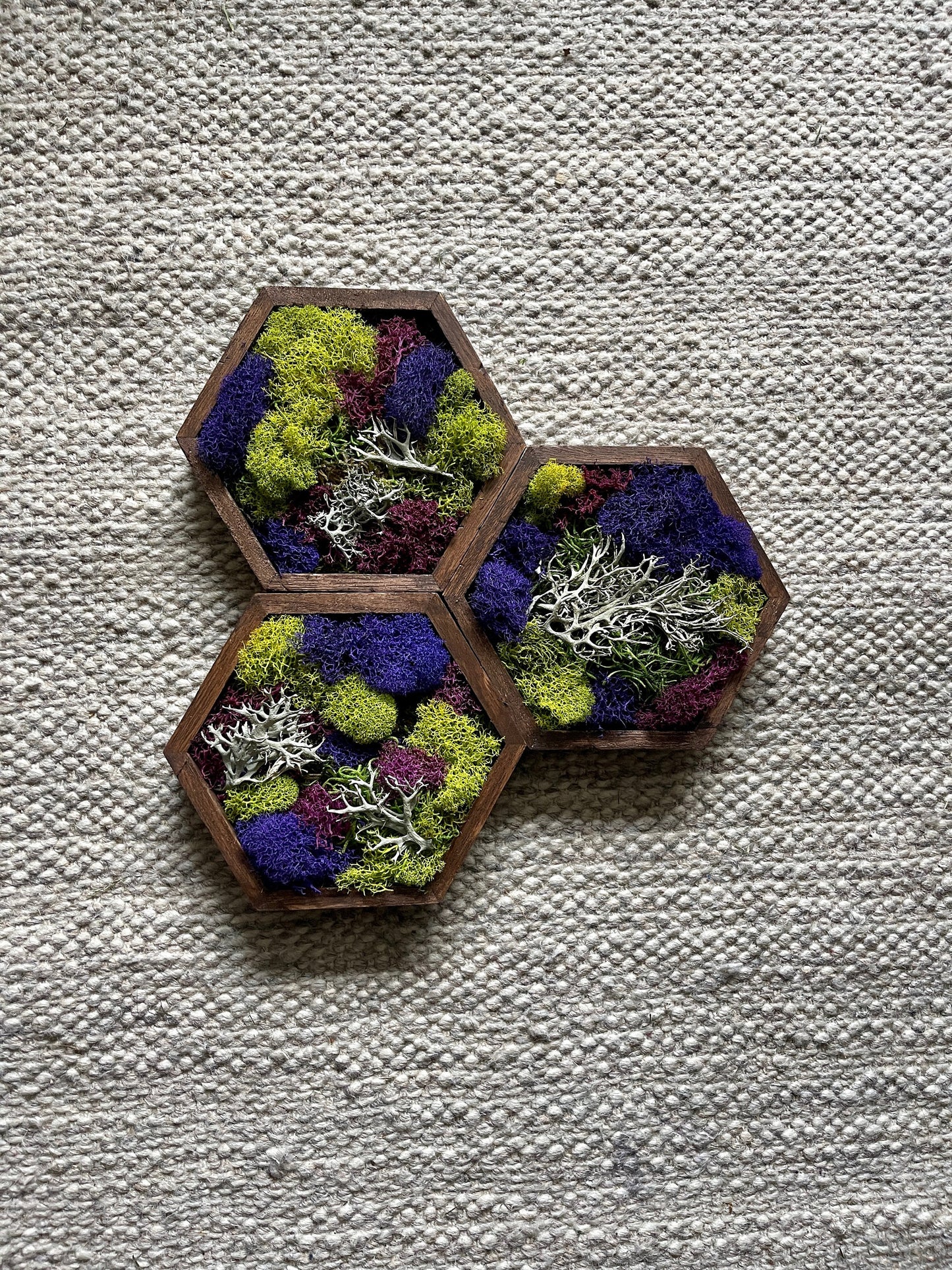 Preserved Reindeer Moss Hexagon Trio | Wood Wall Art