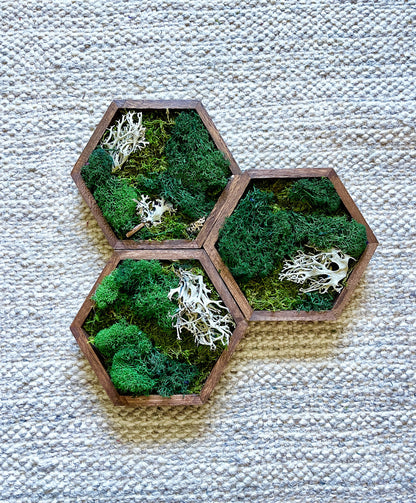 Moss Wall Art | Preserved Moss Decor | Single to Set of Twelve | Wood Hexagon  | Green and Brown