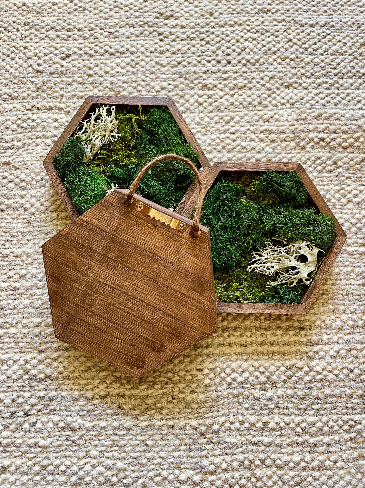 Moss Wall Art | Preserved Moss Decor | Single to Set of Twelve | Wood Hexagon  | Green and Brown