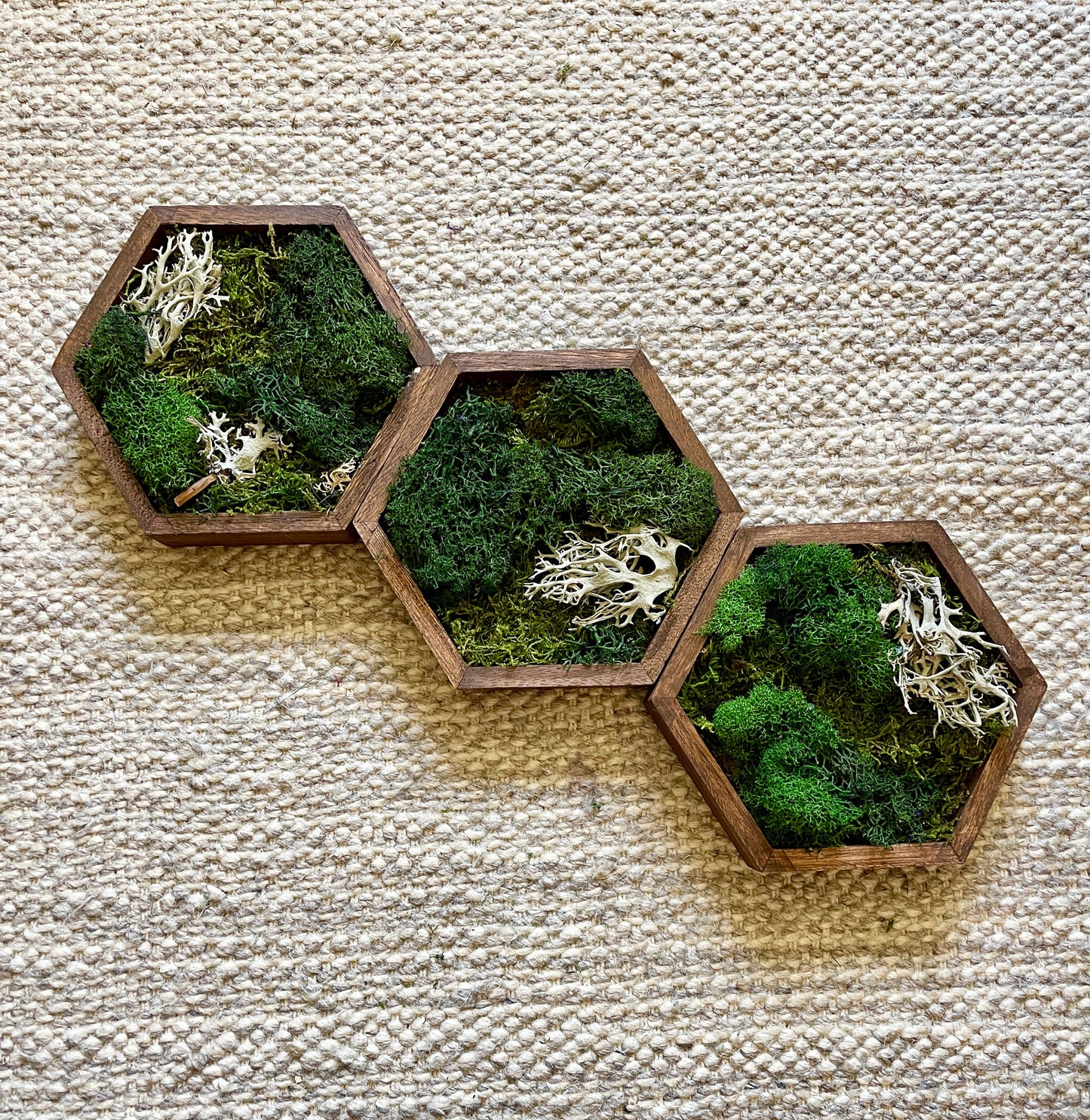 Moss Wall Art | Preserved Moss Decor | Single to Set of Twelve | Wood Hexagon  | Green and Brown