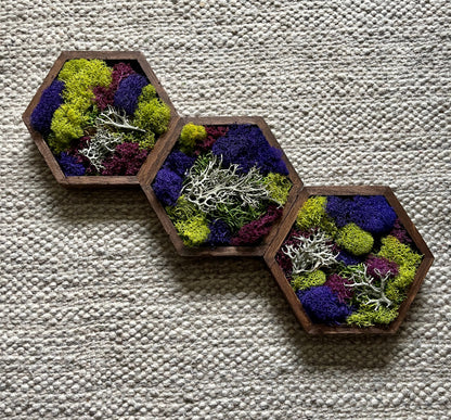 Honeycomb Moss  | Wall Art  |  Home  Decor  | Wood Hexagon  | Green and Mixed Colours