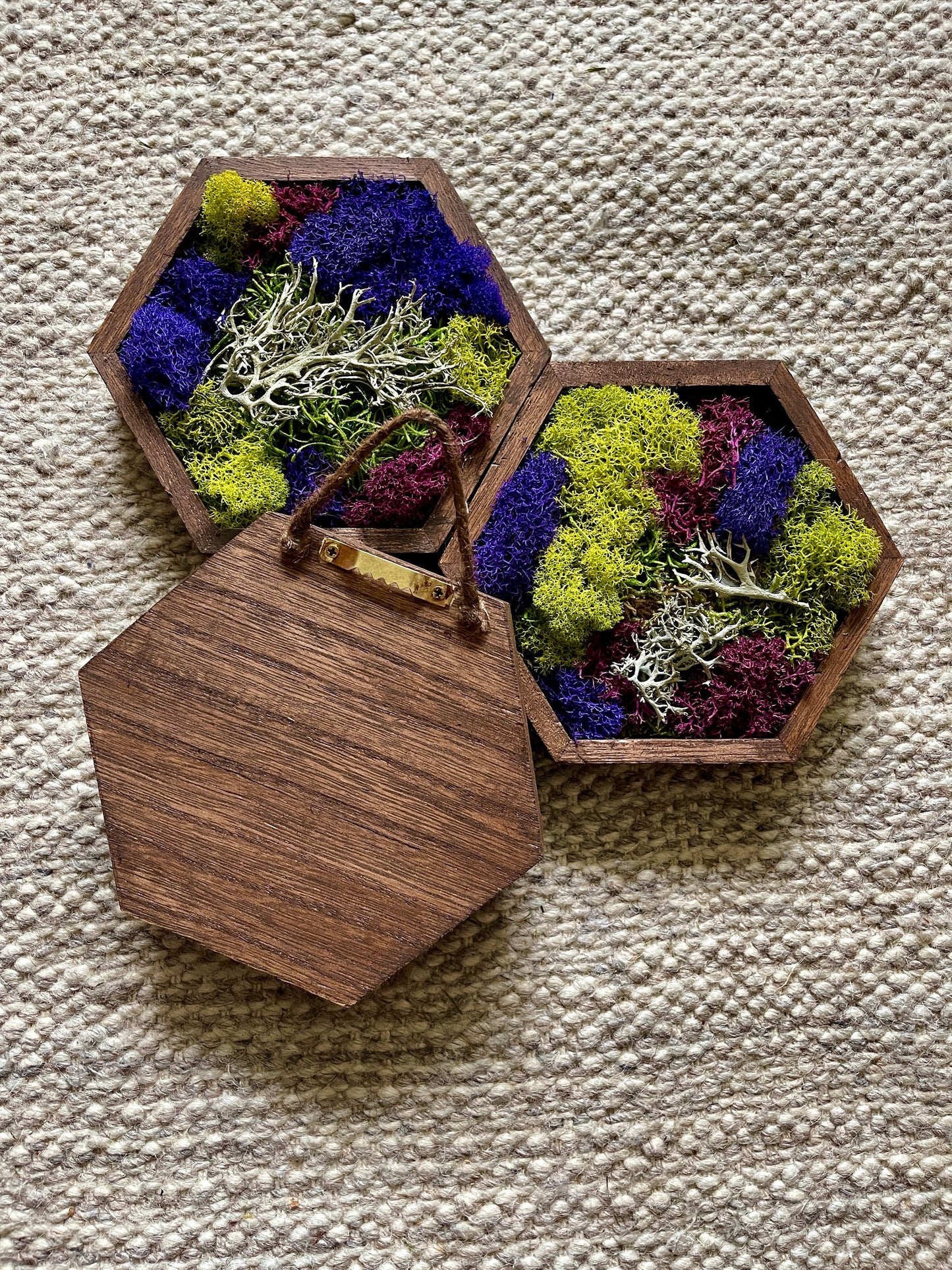 Preserved Reindeer Moss Hexagon Trio | Wood Wall Art