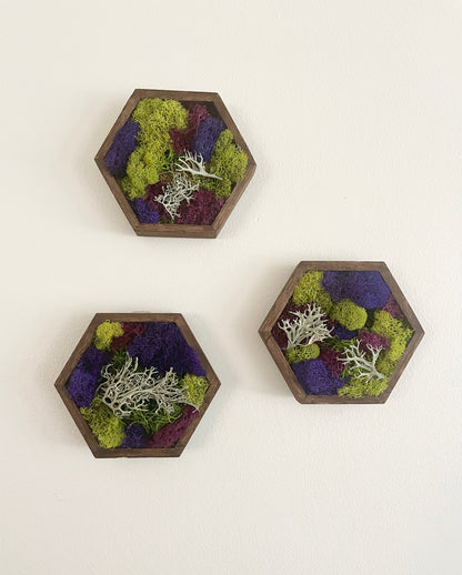 Honeycomb Moss  | Wall Art  |  Home  Decor  | Wood Hexagon  | Green and Mixed Colours