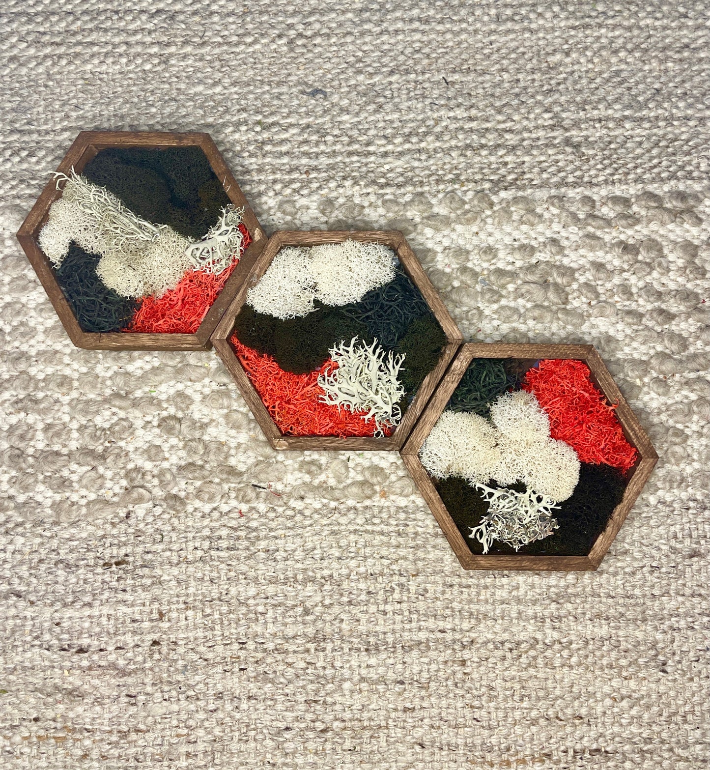 Honeycomb Moss Wall Art | Reindeer Moss, Wood Hexagon Decor